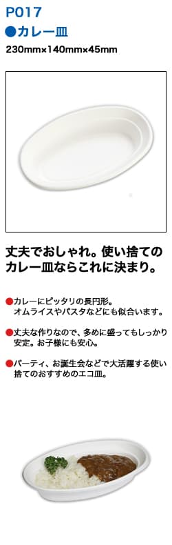 使い捨て バガス製テイクアウト容器 オシャレなeモールド カレー皿